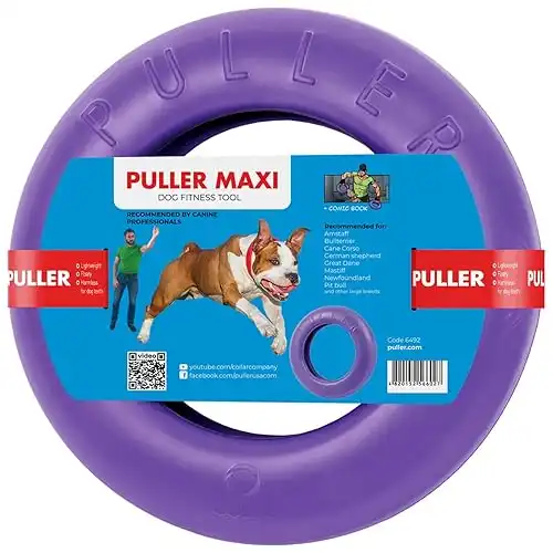 Puller Ring Toys