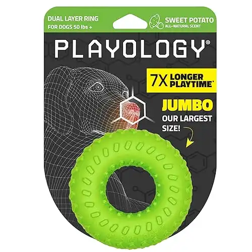 Playology Dual Layer Ring Toy